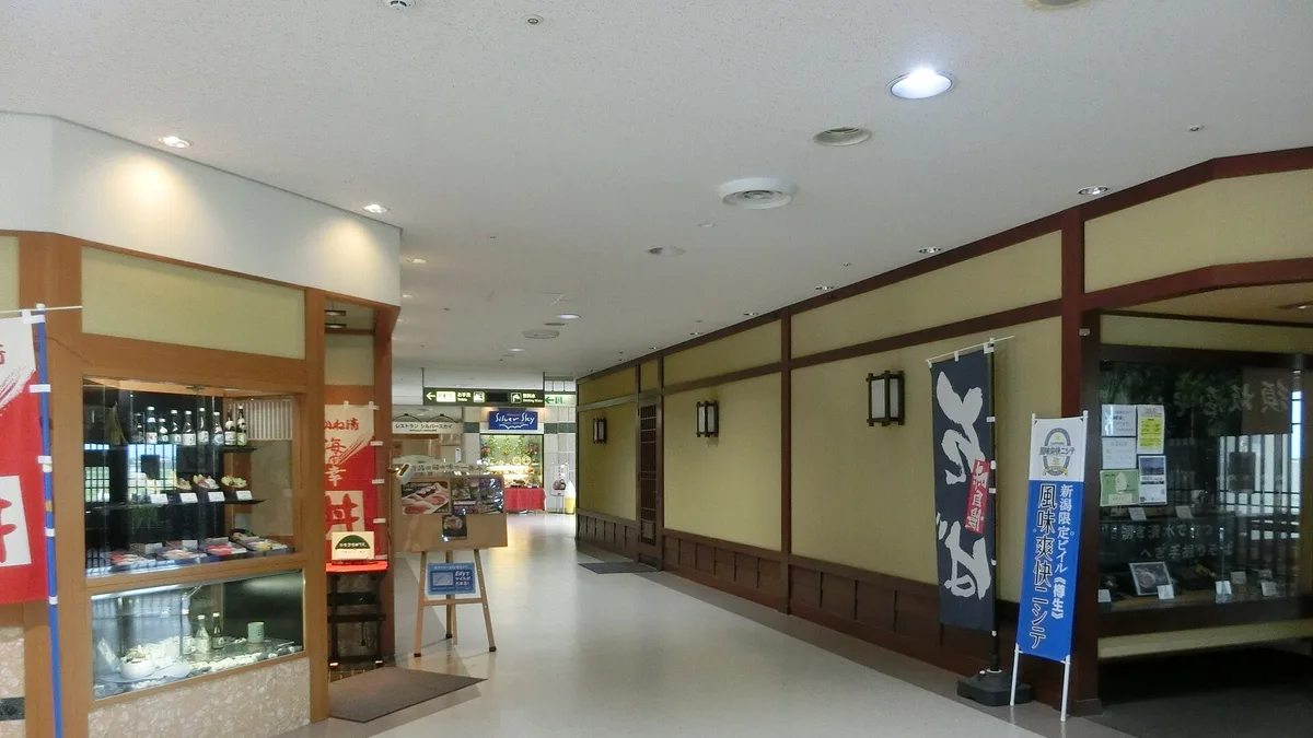Niigata Airport in Japan