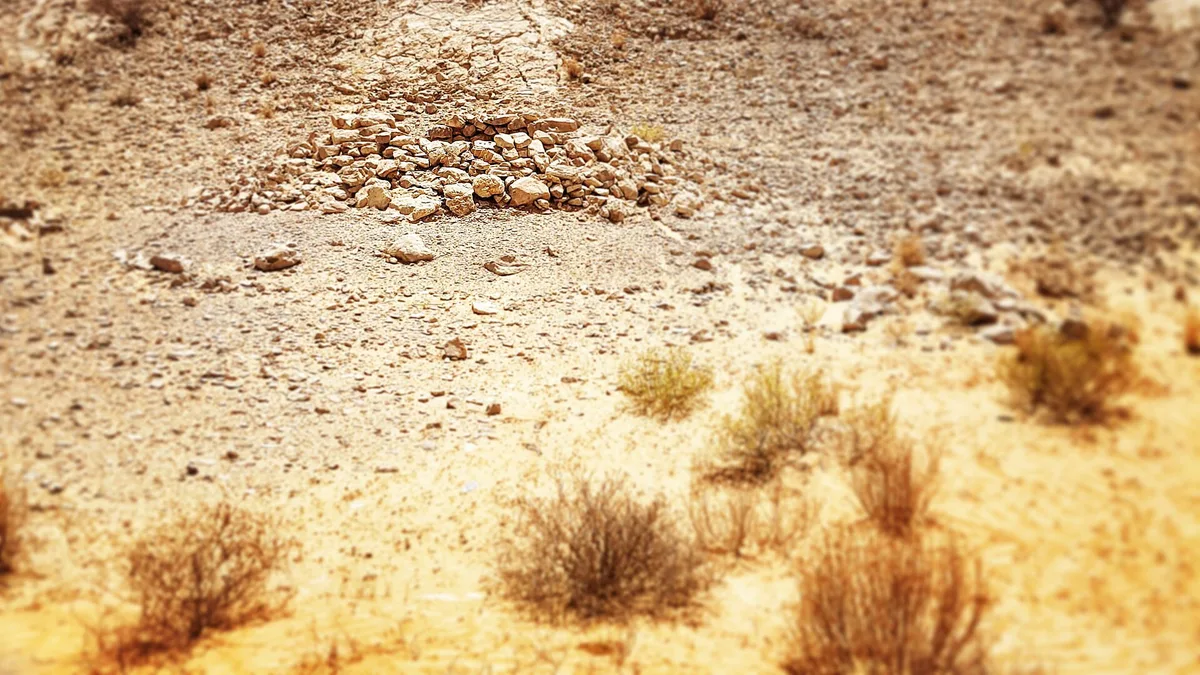 Bidaa Bint Saud in United Arab Emirates