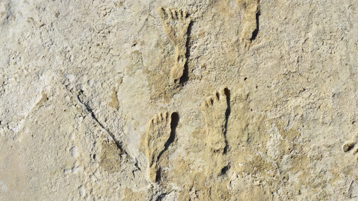 White Sands Fossil Footprints in United States