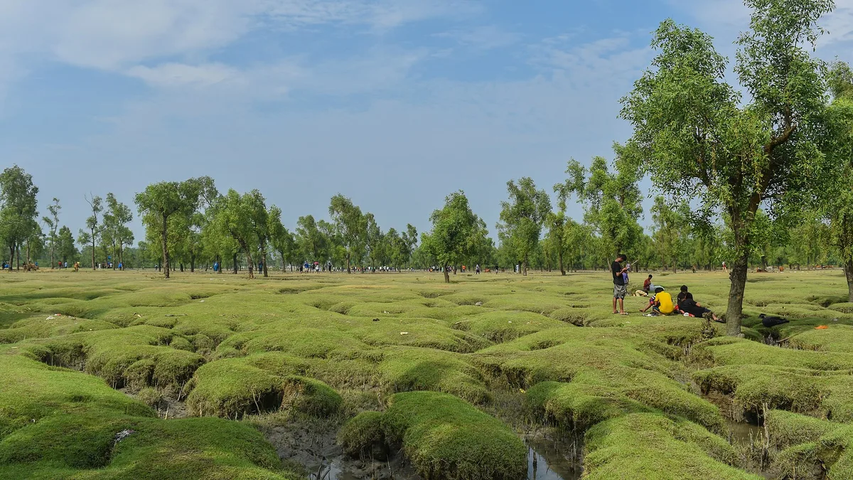 Guliakhali Sea Beach in Bangladesh