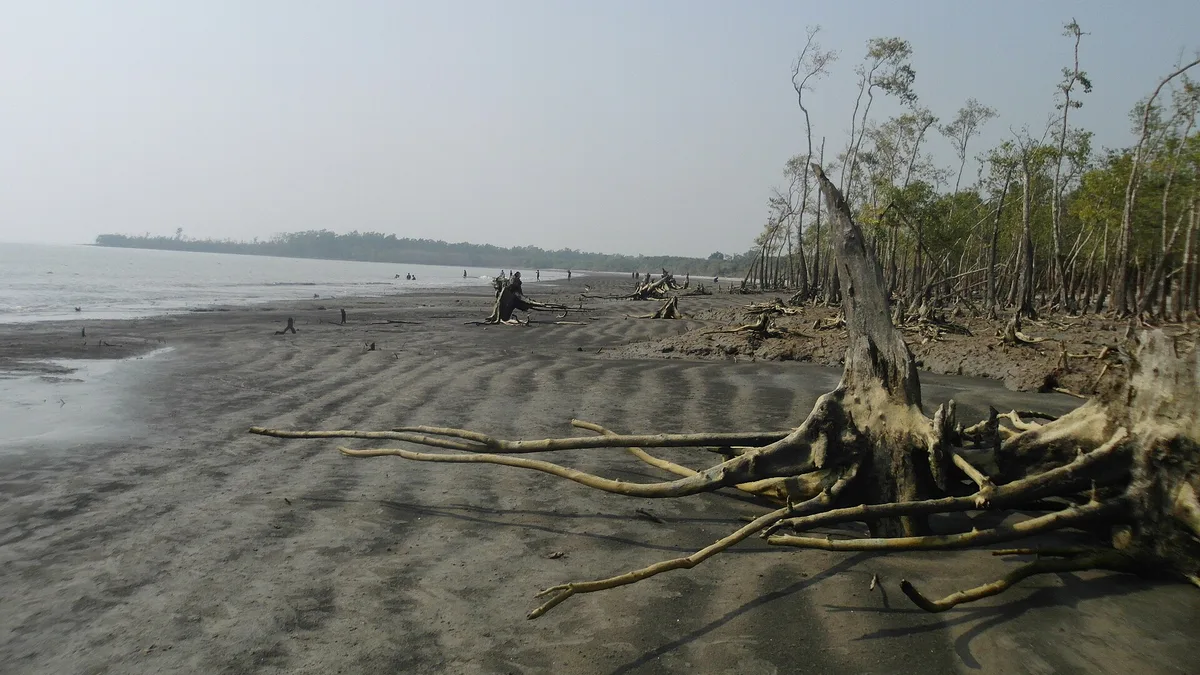 Kotka Beach in Bangladesh