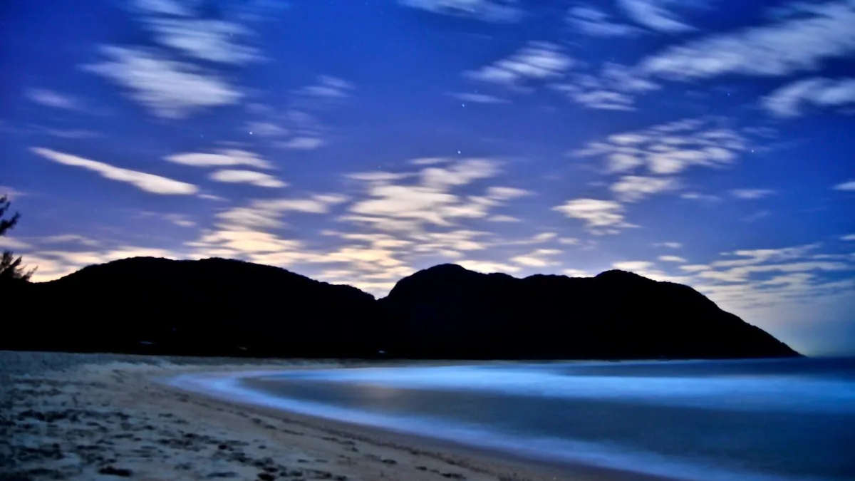 Praia de Grumari in Brazil