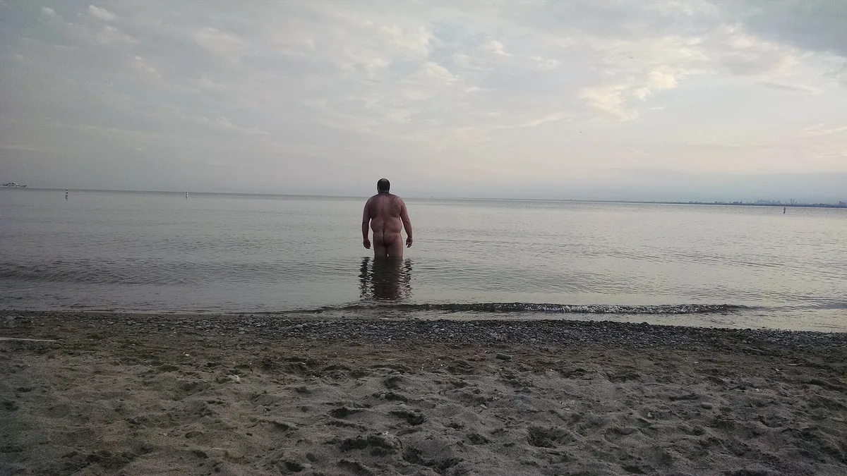 Hanlan's Point Beach in Canada