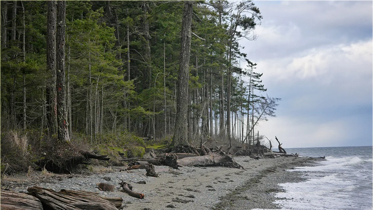 Rathtrevor Beach in Canada
