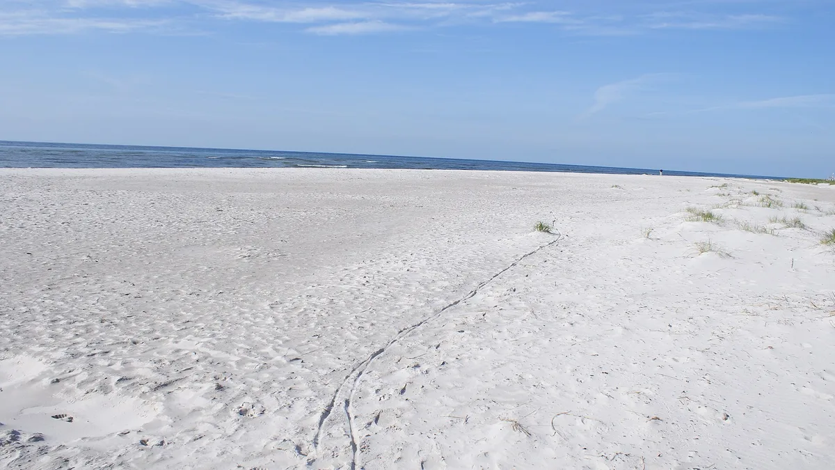 Dueodde Beach in Denmark