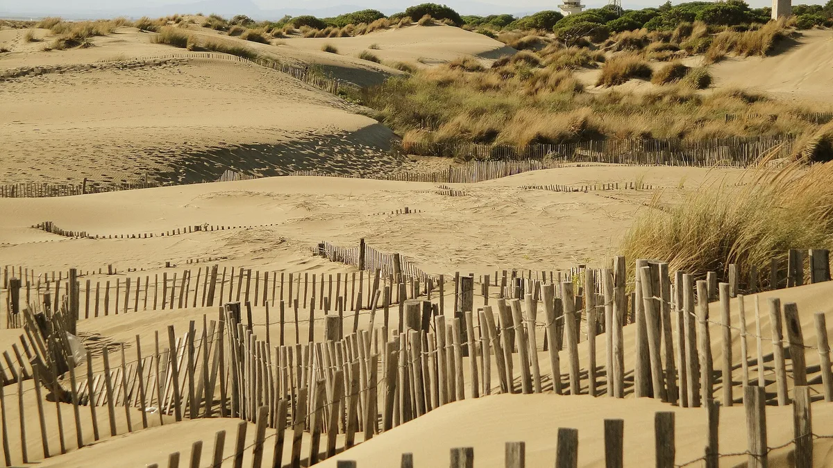 Plage de l'Espiguette in France