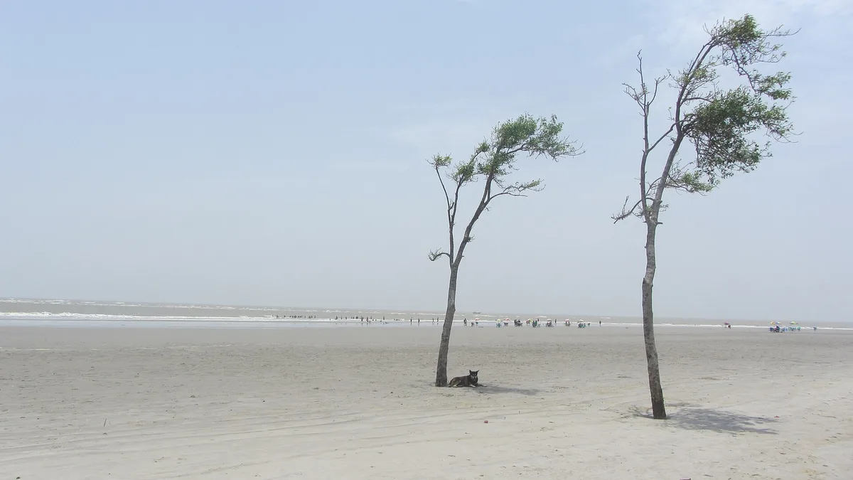 Bakkhali Beach in India