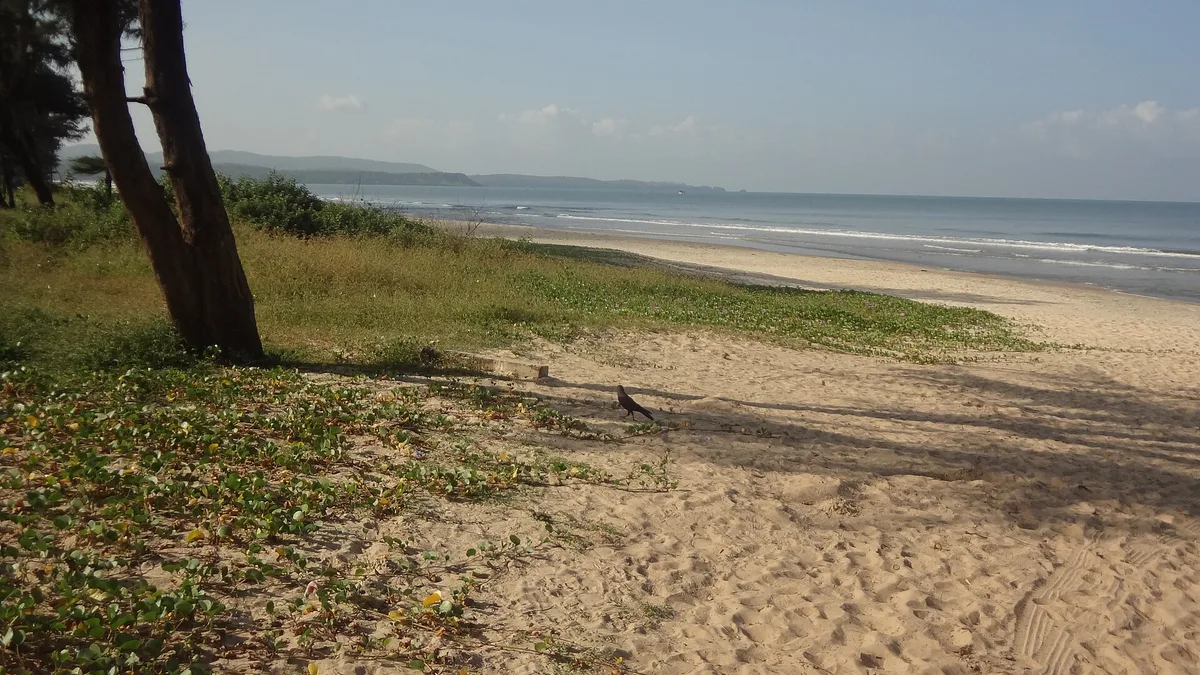 Cavelossim Beach in India