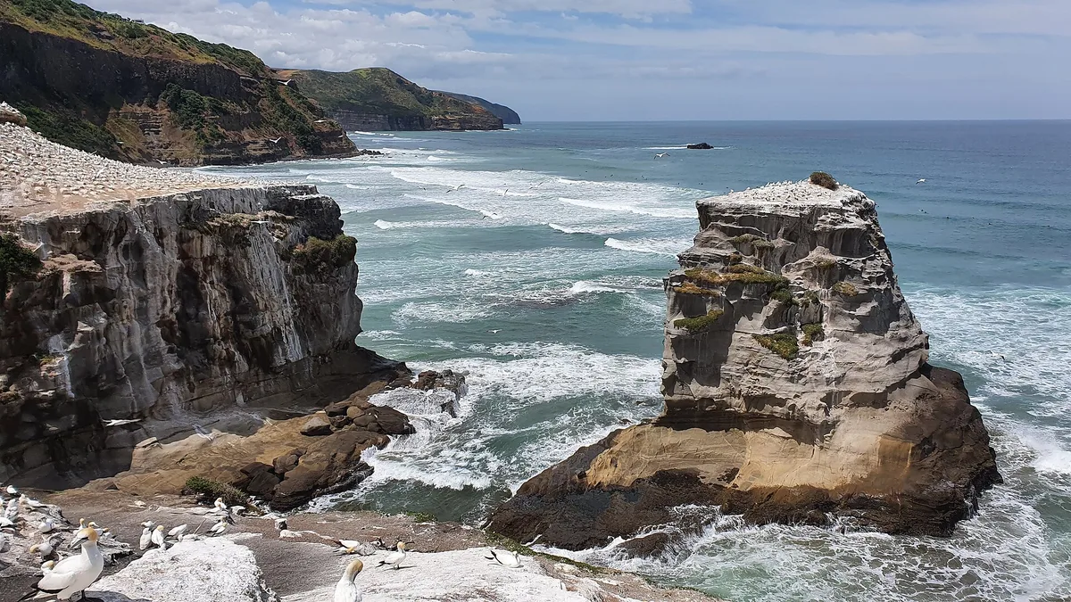Muriwai Beach in New Zealand