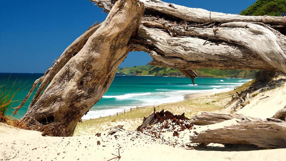 Pākiri Beach in New Zealand