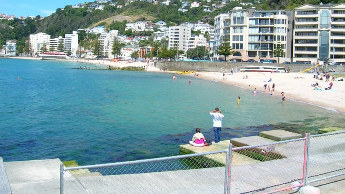 Oriental Bay Beach in New Zealand