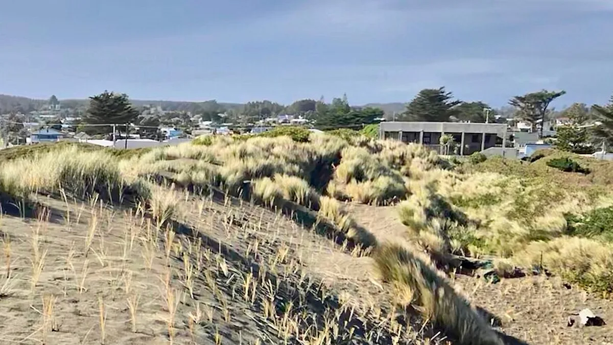Himatangi Beach in New Zealand