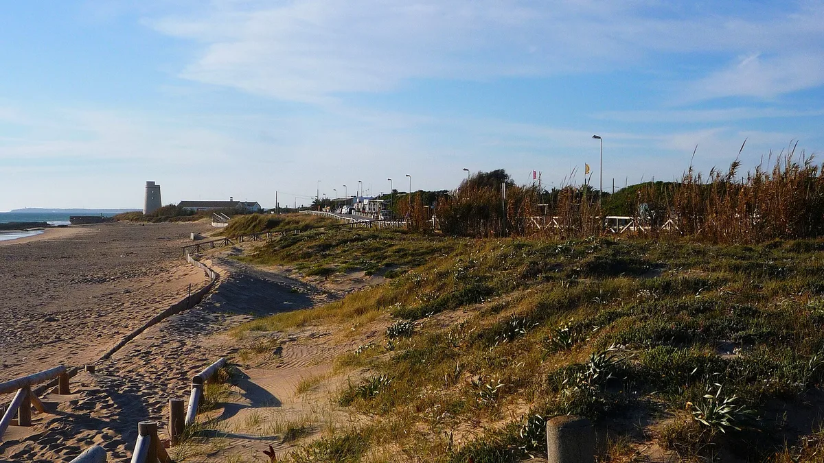 Playa de El Palmar in Spain