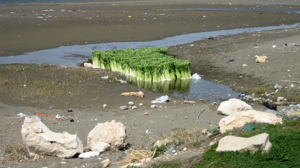 Samandağ Beach in Turkey