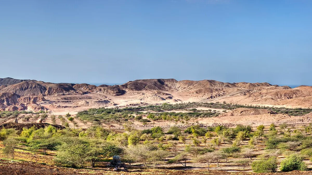 Sir Bani Yas Beach in United Arab Emirates