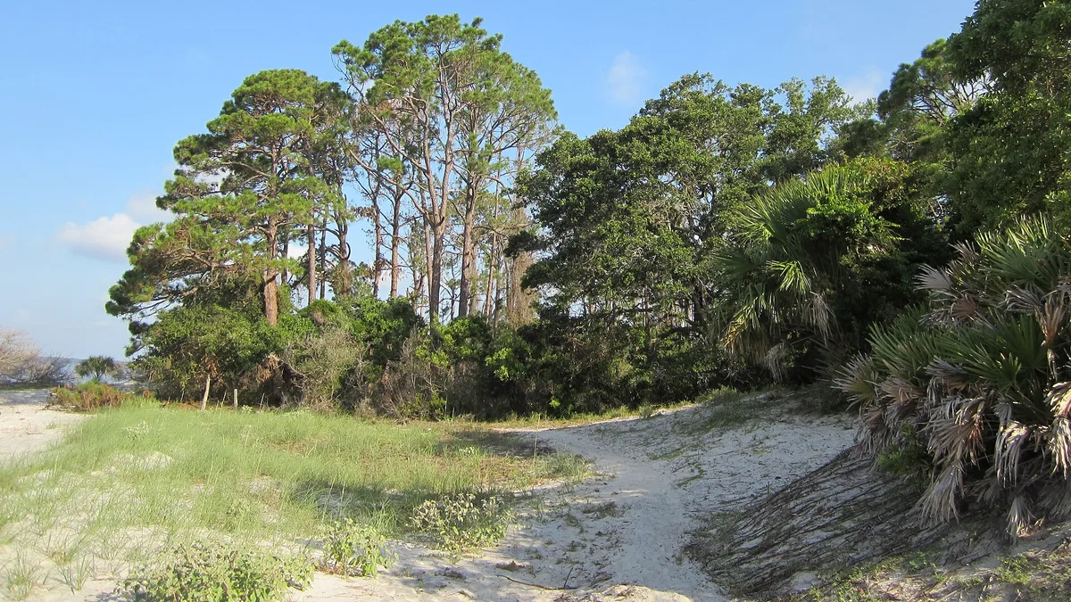 Cumberland Island National Seashore in United States