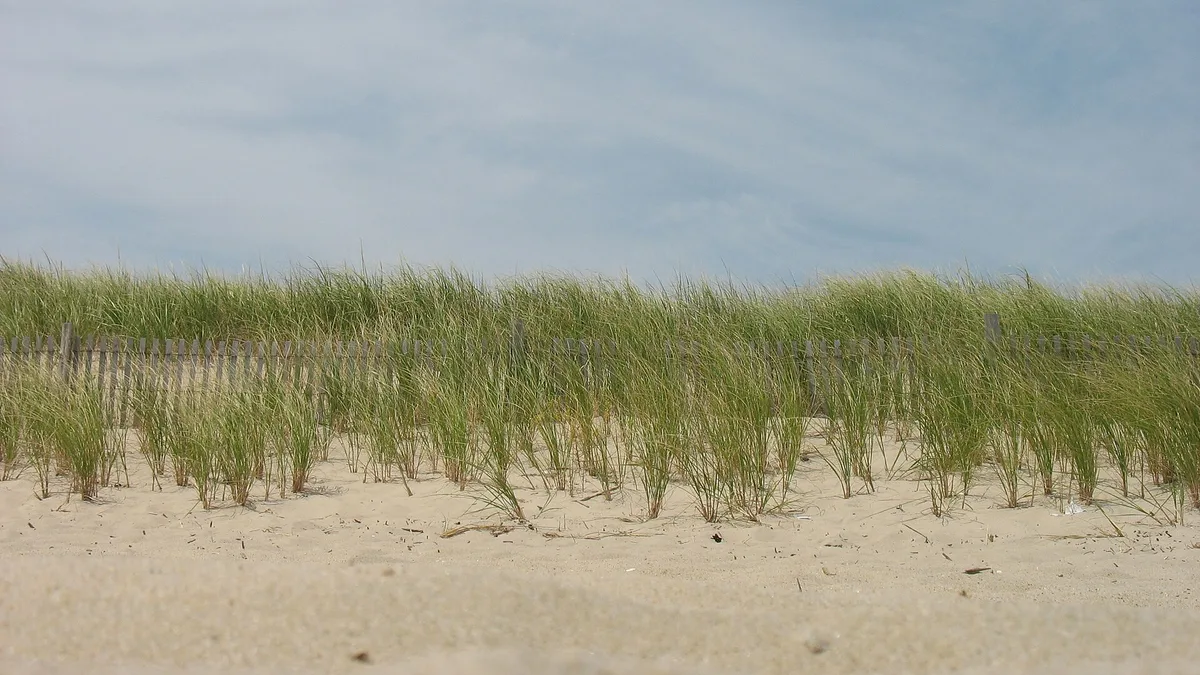 Delaware Seashore State Park in United States