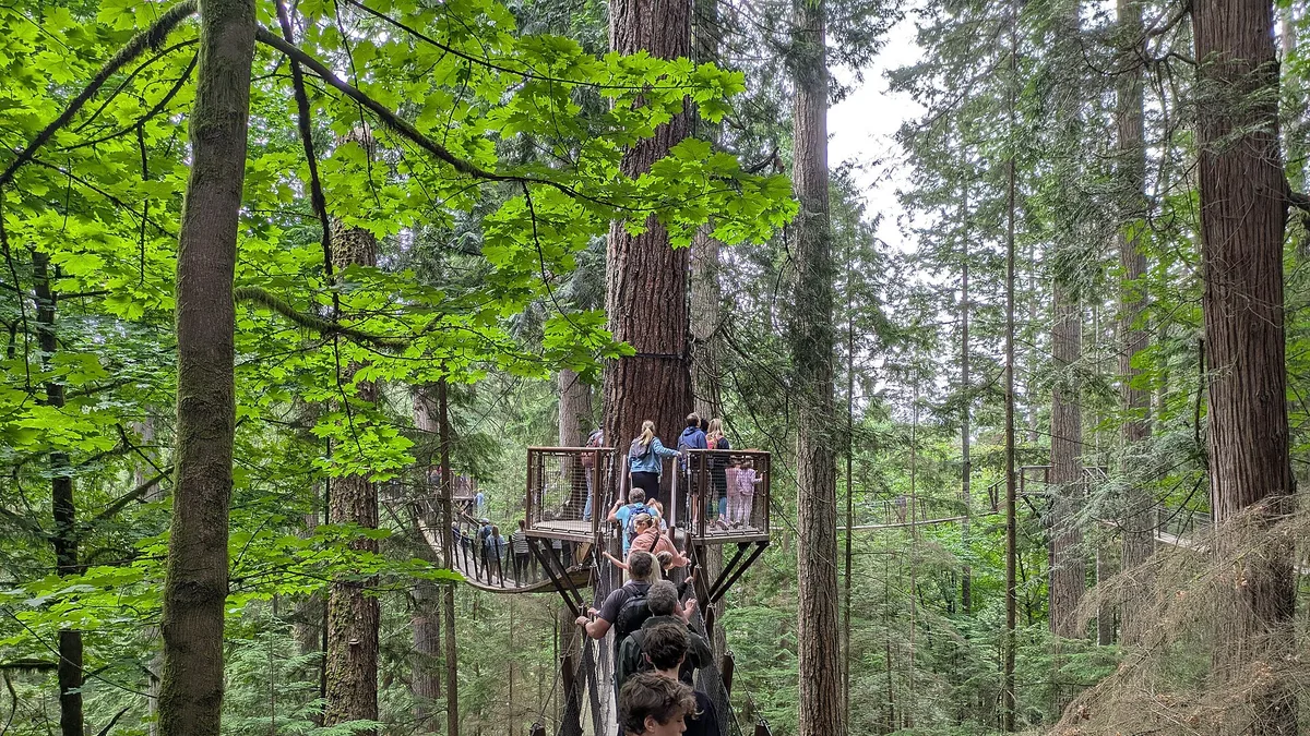 Capilano Suspension Bridge in Canada