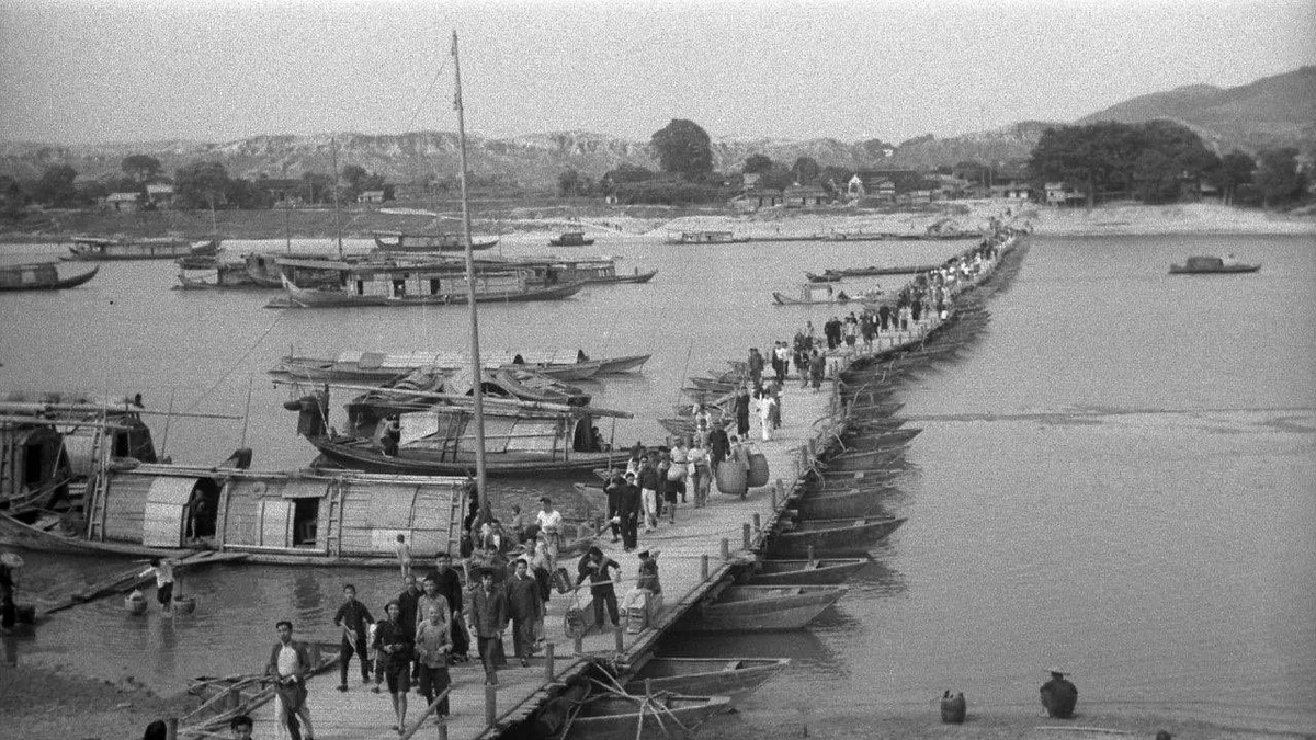 Dongjin Bridge in China