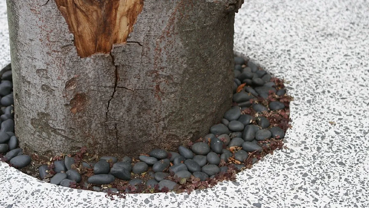 Roots Shibuya in Japan