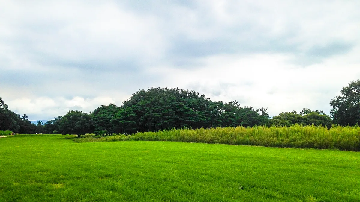 Gyeongju Wolseong in South Korea