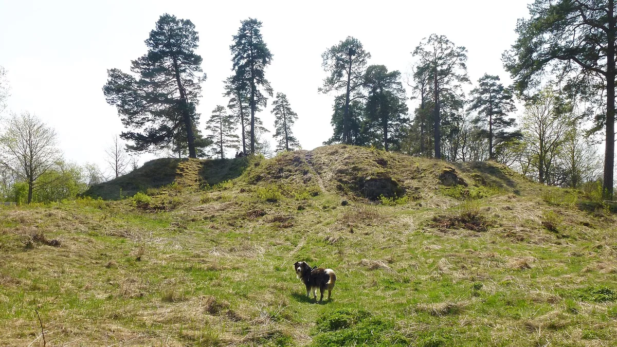 Almarestäket Castle Ruins in Sweden
