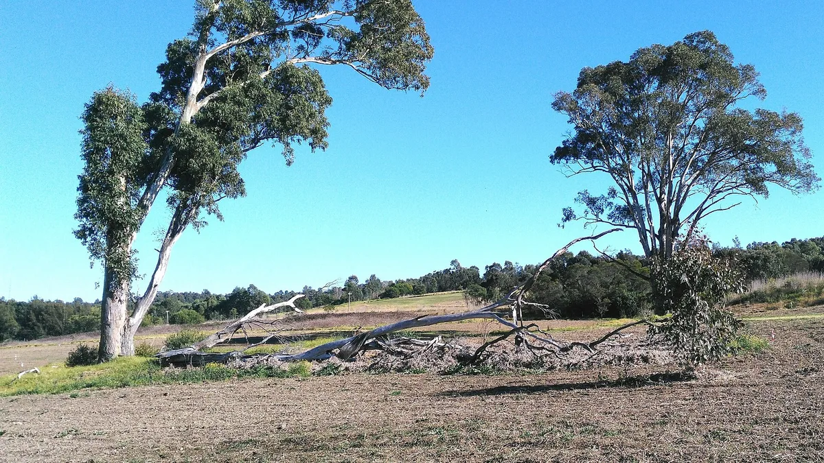 Western Sydney Parklands in Australia