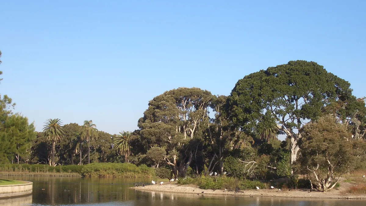 Centennial Parklands in Australia