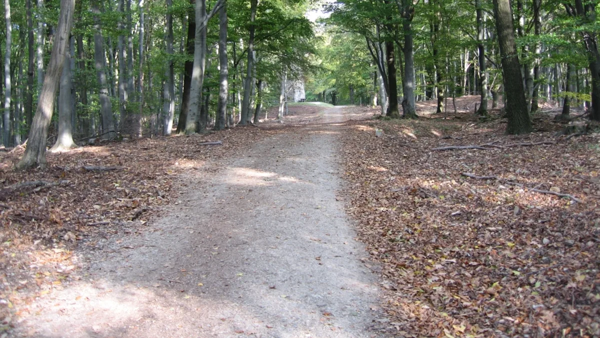 Lainzer Tiergarten in Austria