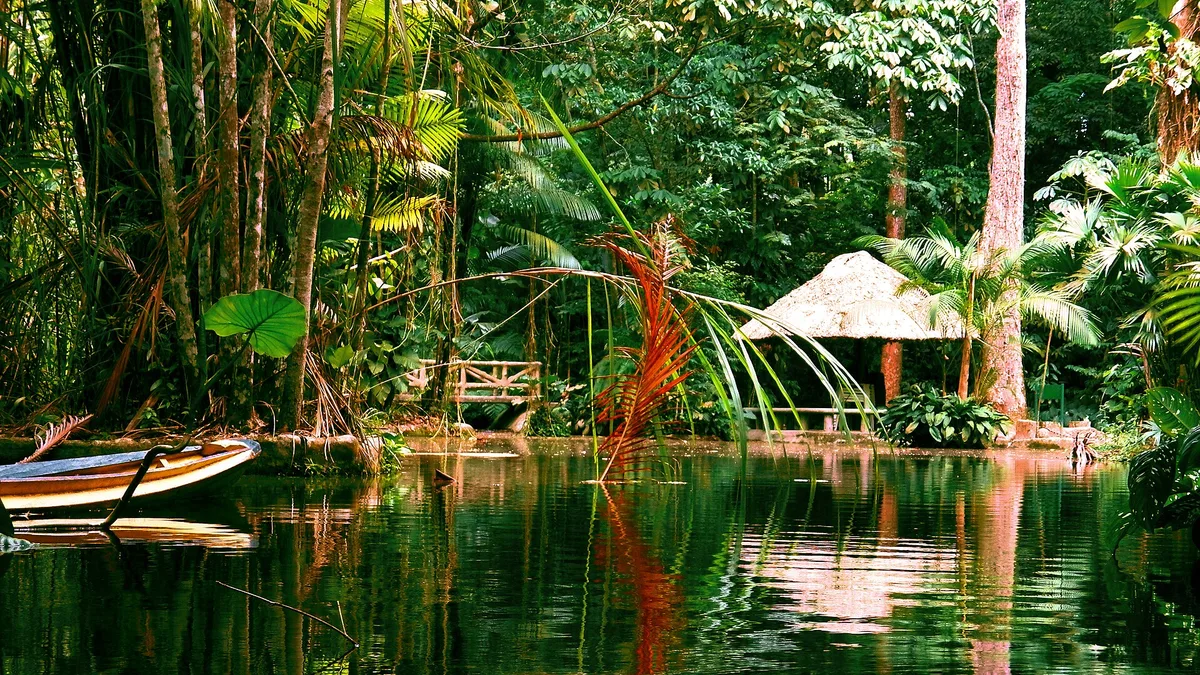 Bosque Rodrigues Alves in Brazil