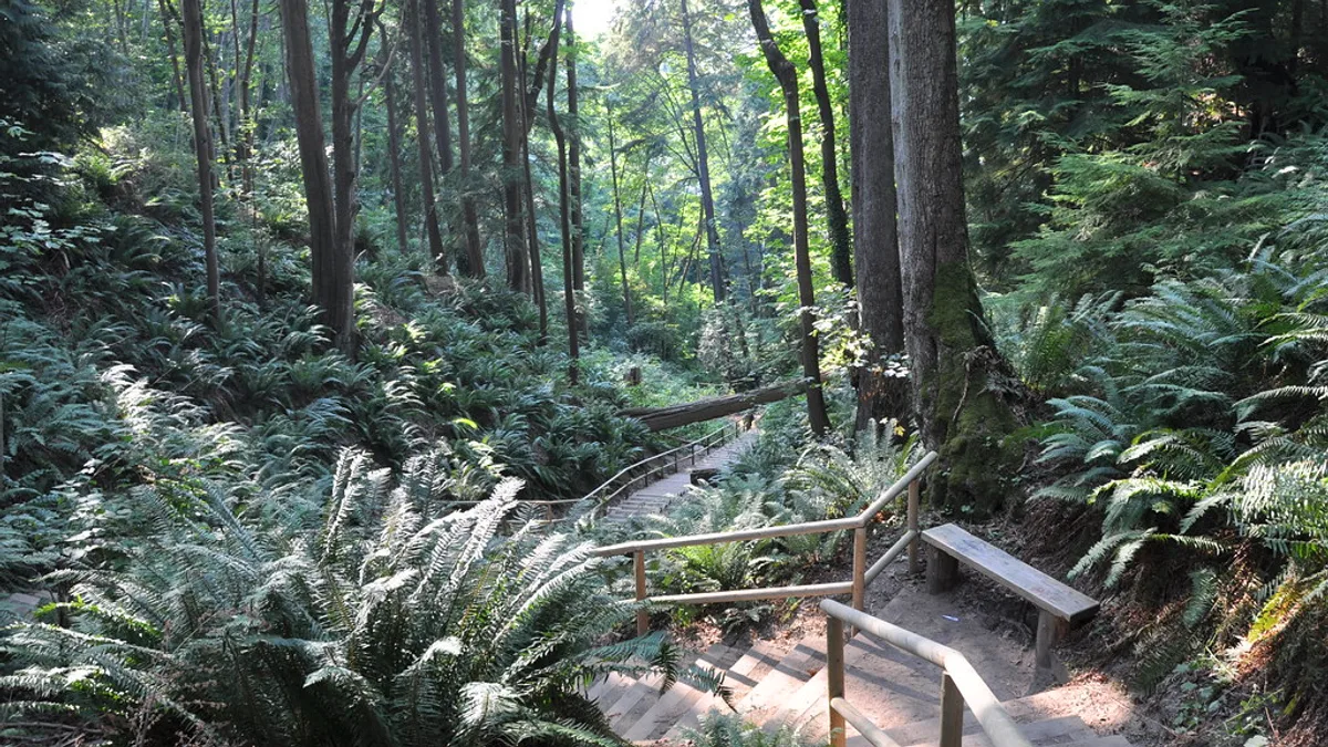 Pacific Spirit Regional Park in Canada