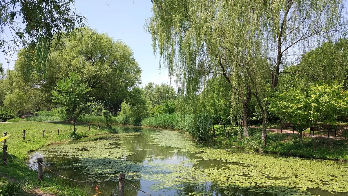 Olympic Forest Park in China