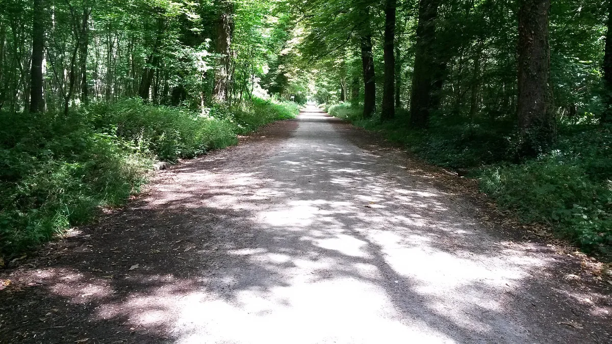Bois de Vincennes in France