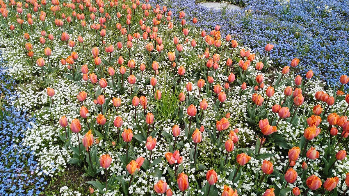 Killesbergpark in Germany