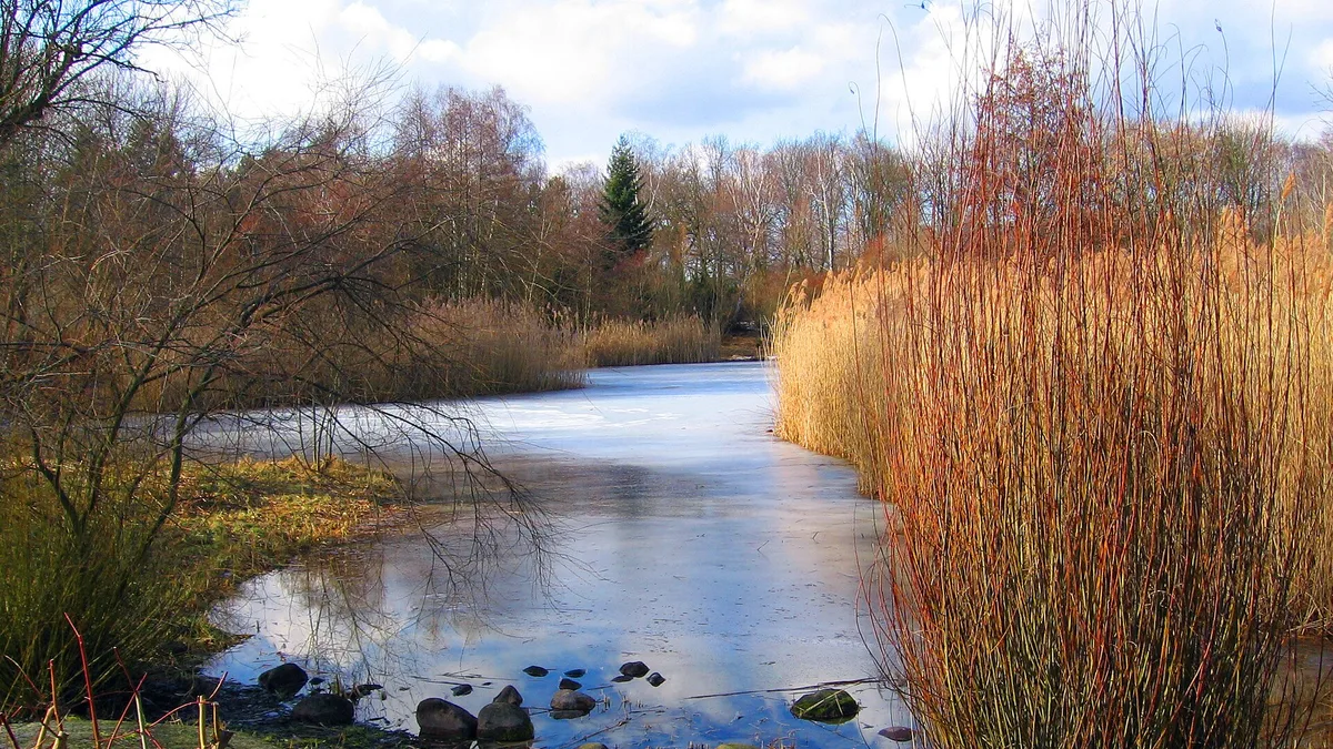 Hasenheide in Germany