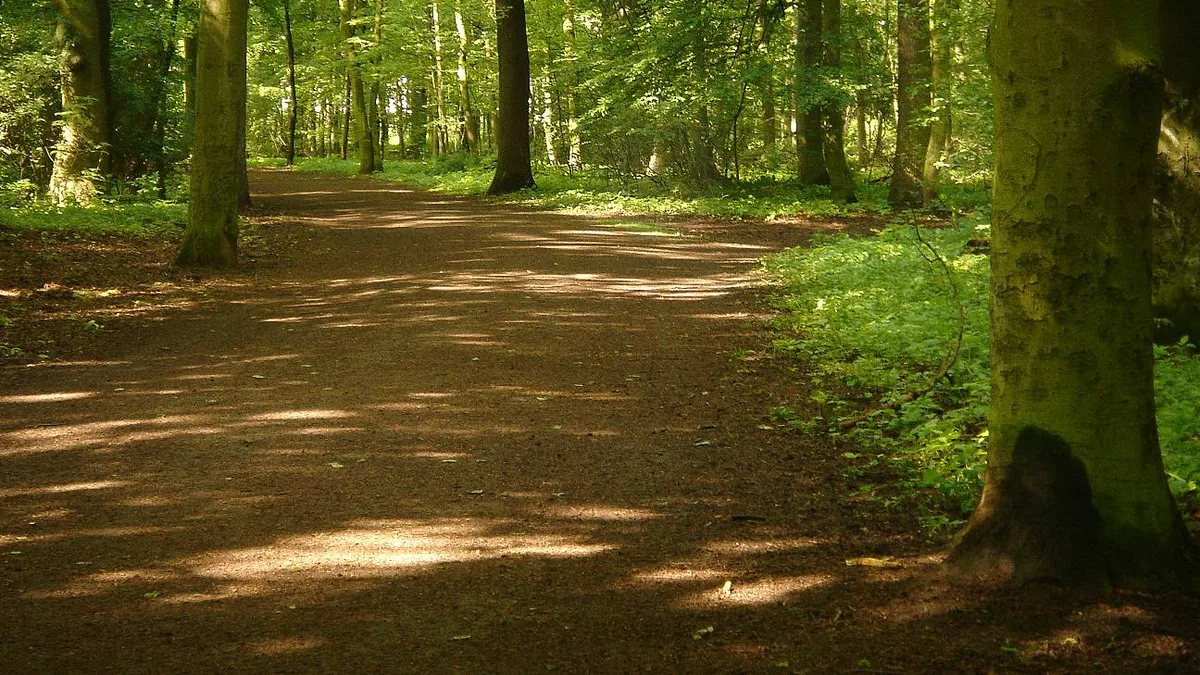 Eilenriede in Germany