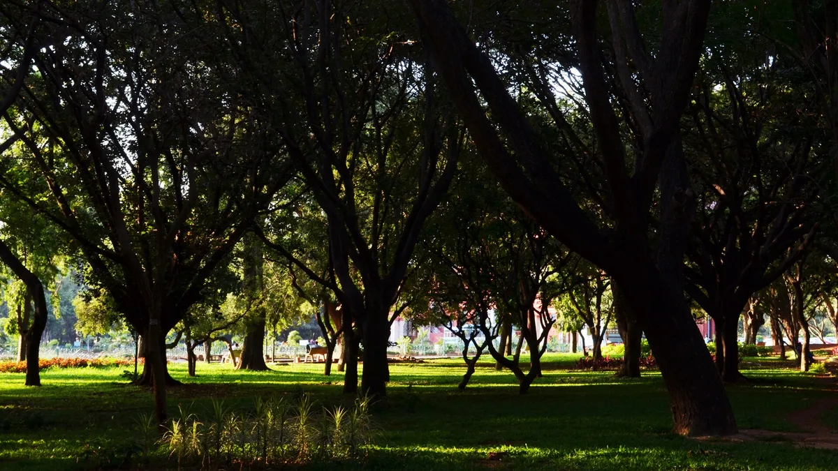 Cubbon Park in India