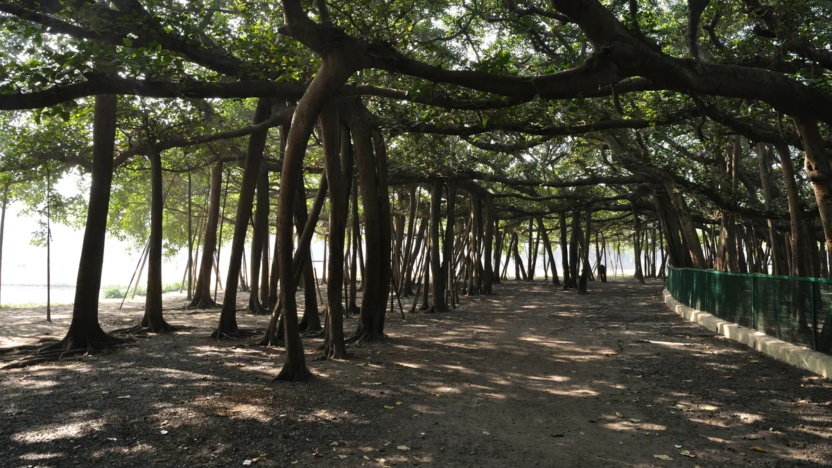 Acharya Jagadish Chandra Bose Indian Botanic Garden in India
