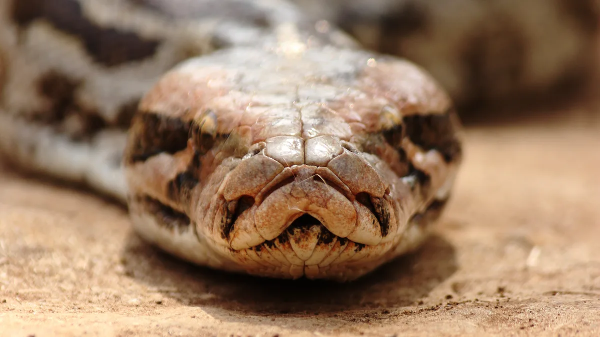 Sanjay Gandhi National Park in India