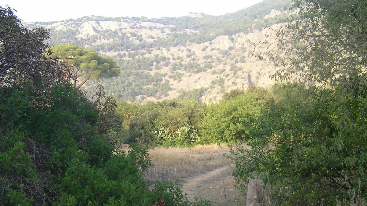 Parco della Favorita in Italy