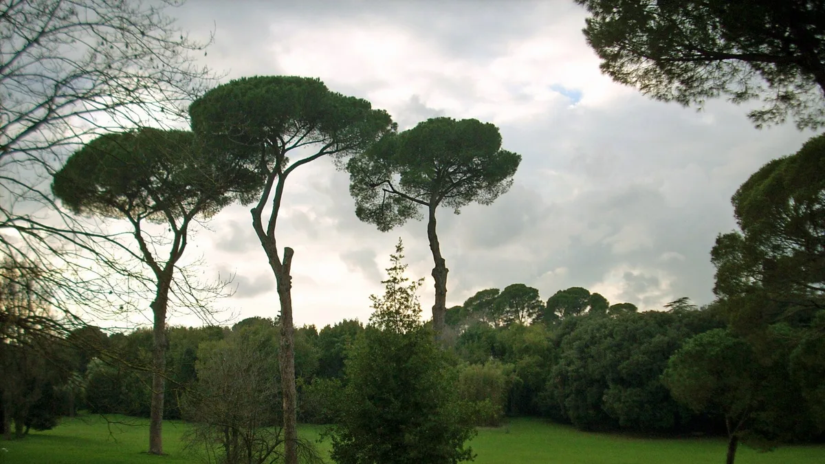 Villa Ada in Italy