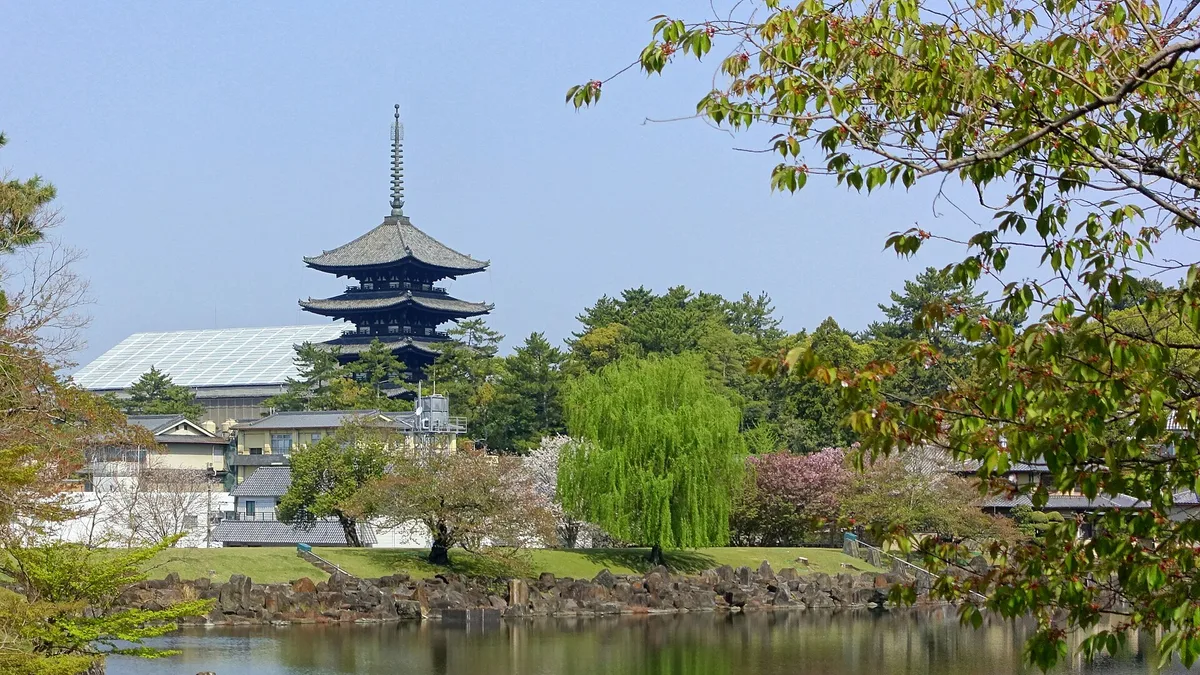 Nara Park in Japan