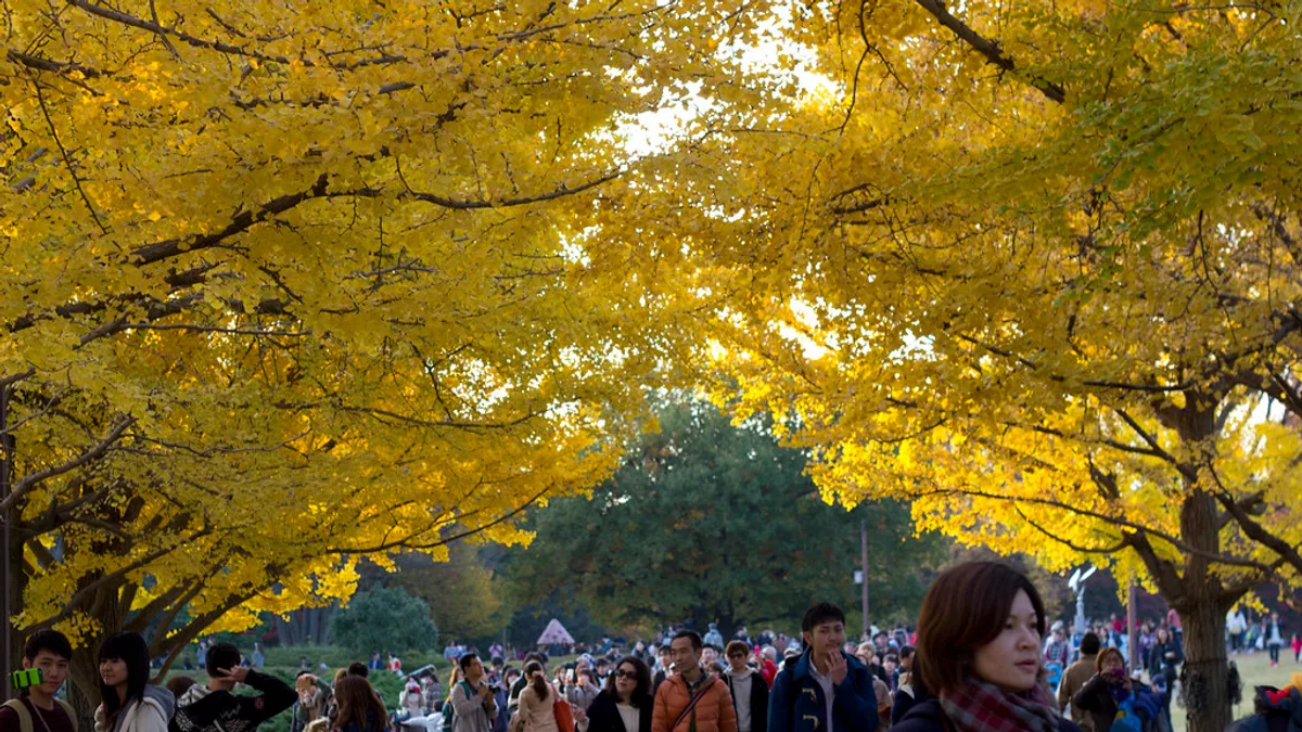 Showa Kinen Park in Japan