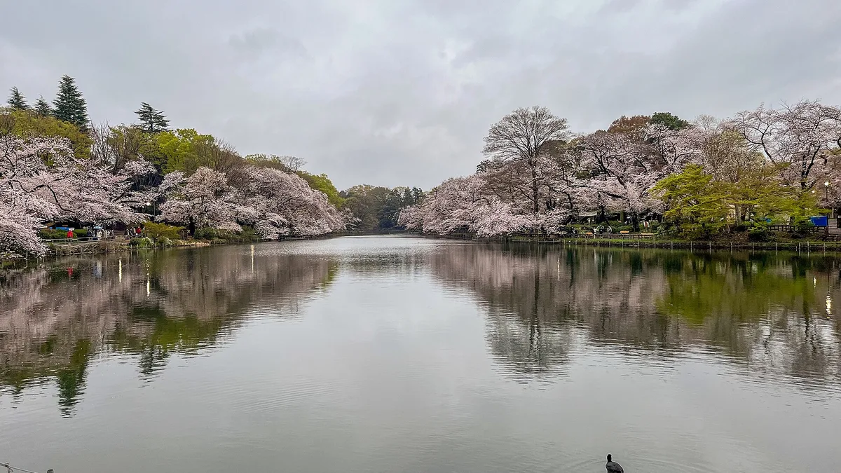 Inokashira Park in Japan