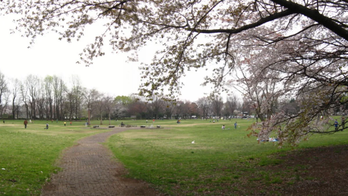 Koganei Park in Japan