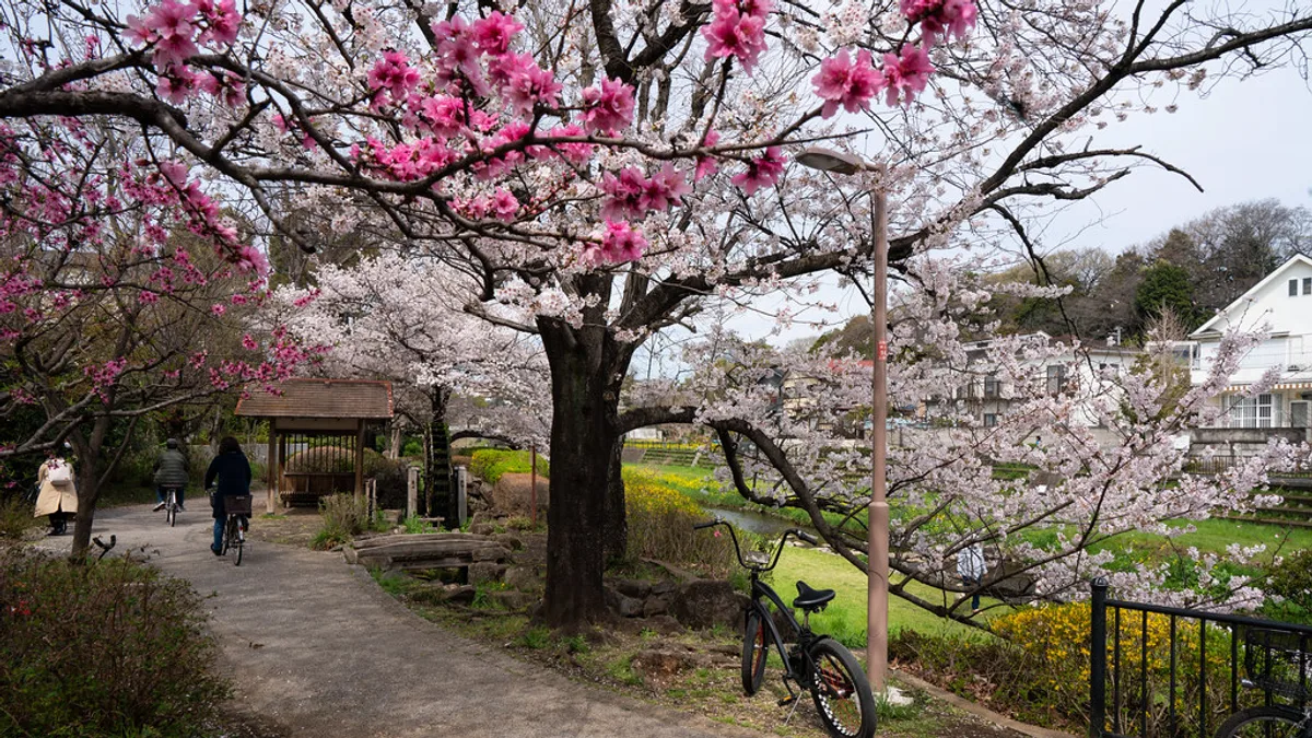 Nogawa Park in Japan