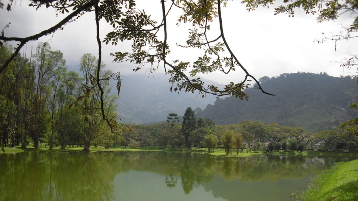 Taiping Lake Gardens in Malaysia