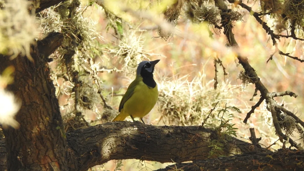 Parque Tangamanga I in Mexico