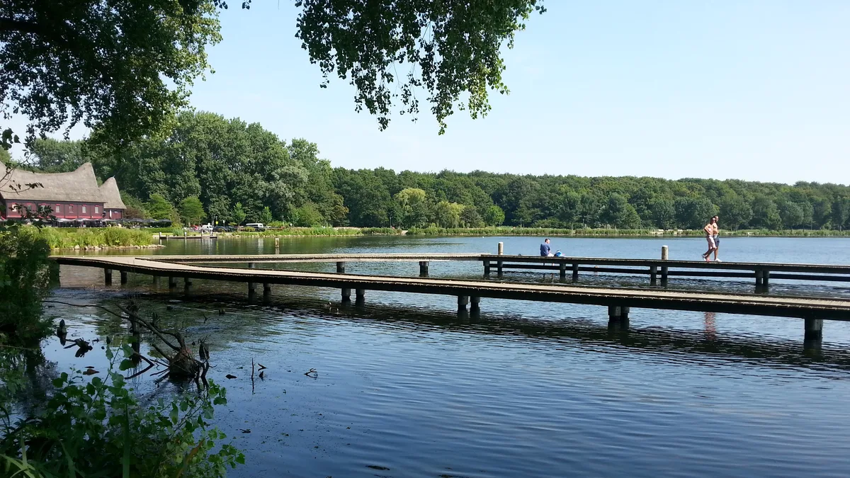 Kralingse Bos in Netherlands
