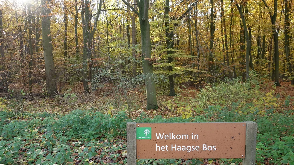 Haagse Bos in Netherlands